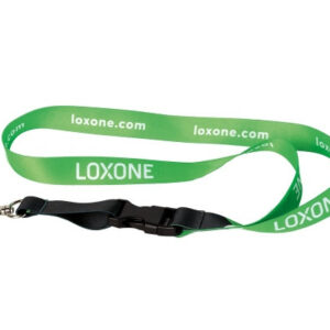 Lanyard